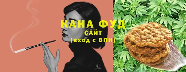 шишки Магас