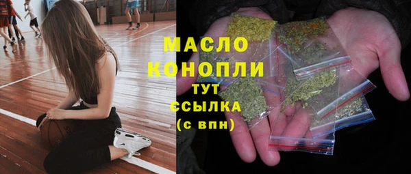 шишки Магас