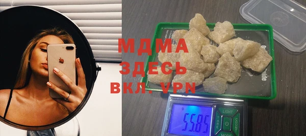 шишки Магас