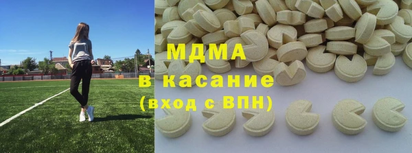 шишки Магас