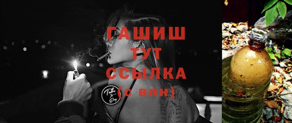 шишки Магас