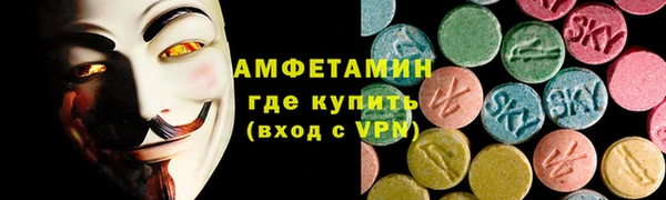 шишки Магас