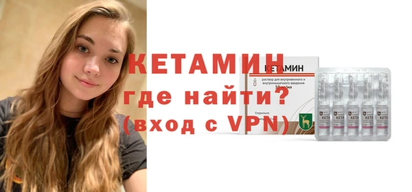 шишки Магас