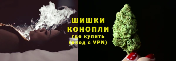 шишки Магас