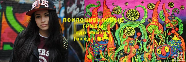 шишки Магас