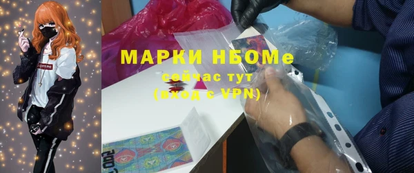 шишки Магас